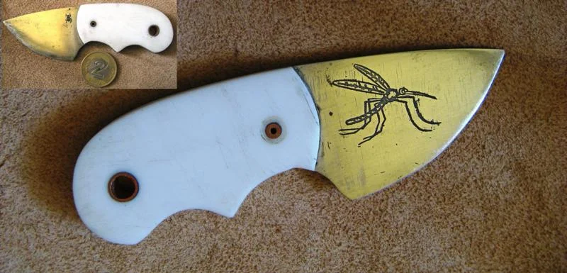 Zdjęcie z galerii